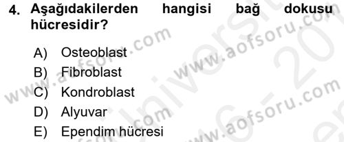 Temel Veteriner Histoloji ve Embriyoloji Dersi 2016 - 2017 Yılı (Final) Dönem Sonu Sınav Soruları 4. Soru