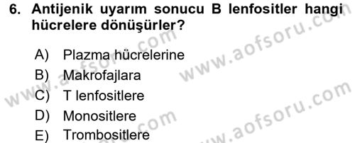 Temel Veteriner Histoloji ve Embriyoloji Dersi 2016 - 2017 Yılı (Final) Dönem Sonu Sınav Soruları 6. Soru