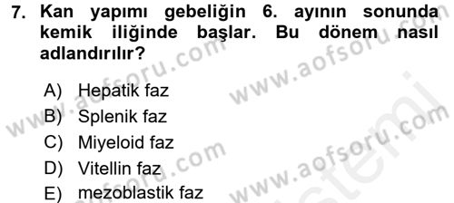 Temel Veteriner Histoloji ve Embriyoloji Dersi 2016 - 2017 Yılı (Final) Dönem Sonu Sınav Soruları 7. Soru