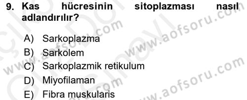 Temel Veteriner Histoloji ve Embriyoloji Dersi 2016 - 2017 Yılı (Final) Dönem Sonu Sınav Soruları 9. Soru