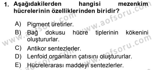 Temel Veteriner Histoloji ve Embriyoloji Dersi 2017 - 2018 Yılı 3 Ders Sınav Soruları 1. Soru
