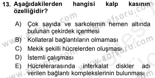Temel Veteriner Histoloji ve Embriyoloji Dersi 2017 - 2018 Yılı 3 Ders Sınav Soruları 13. Soru
