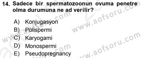 Temel Veteriner Histoloji ve Embriyoloji Dersi 2017 - 2018 Yılı 3 Ders Sınav Soruları 14. Soru