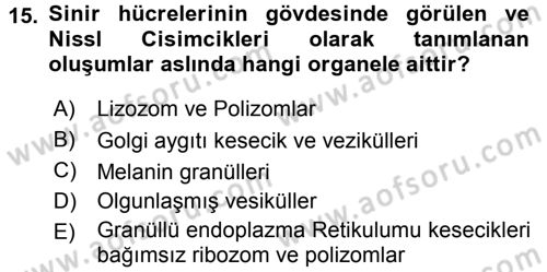 Temel Veteriner Histoloji ve Embriyoloji Dersi 2017 - 2018 Yılı 3 Ders Sınav Soruları 15. Soru