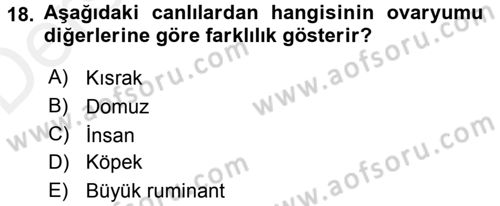 Temel Veteriner Histoloji ve Embriyoloji Dersi 2017 - 2018 Yılı 3 Ders Sınav Soruları 18. Soru
