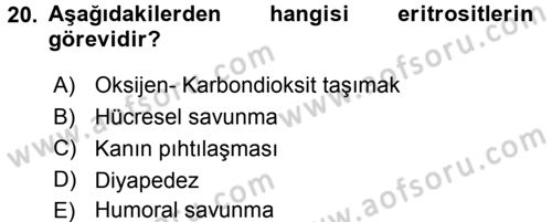 Temel Veteriner Histoloji ve Embriyoloji Dersi 2017 - 2018 Yılı 3 Ders Sınav Soruları 20. Soru