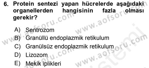 Temel Veteriner Histoloji ve Embriyoloji Dersi 2017 - 2018 Yılı 3 Ders Sınav Soruları 6. Soru