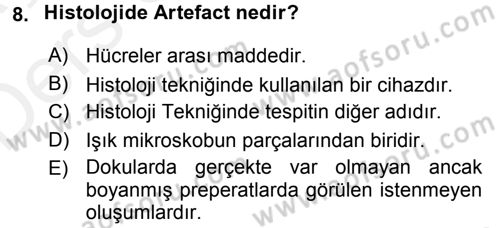 Temel Veteriner Histoloji ve Embriyoloji Dersi 2017 - 2018 Yılı 3 Ders Sınav Soruları 8. Soru