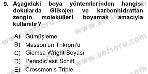 Temel Veteriner Histoloji ve Embriyoloji Dersi 2017 - 2018 Yılı 3 Ders Sınav Soruları 9. Soru