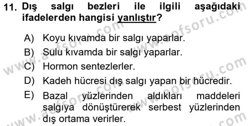 Temel Veteriner Histoloji ve Embriyoloji Dersi 2017 - 2018 Yılı (Vize) Ara Sınav Soruları 11. Soru
