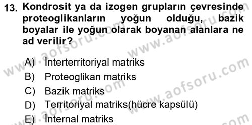 Temel Veteriner Histoloji ve Embriyoloji Dersi Ara Sınavı Deneme Sınav Soruları 13. Soru