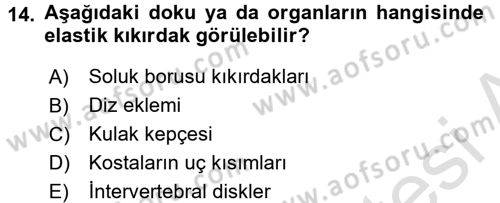Temel Veteriner Histoloji ve Embriyoloji Dersi 2017 - 2018 Yılı (Vize) Ara Sınav Soruları 14. Soru