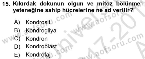 Temel Veteriner Histoloji ve Embriyoloji Dersi Ara Sınavı Deneme Sınav Soruları 15. Soru