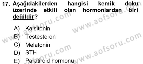 Temel Veteriner Histoloji ve Embriyoloji Dersi 2017 - 2018 Yılı (Vize) Ara Sınav Soruları 17. Soru