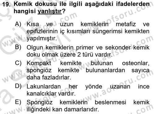 Temel Veteriner Histoloji ve Embriyoloji Dersi 2017 - 2018 Yılı (Vize) Ara Sınav Soruları 19. Soru