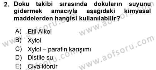 Temel Veteriner Histoloji ve Embriyoloji Dersi Ara Sınavı Deneme Sınav Soruları 2. Soru