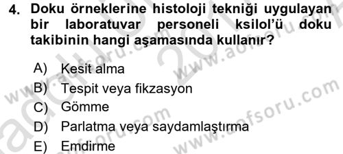 Temel Veteriner Histoloji ve Embriyoloji Dersi 2017 - 2018 Yılı (Vize) Ara Sınav Soruları 4. Soru