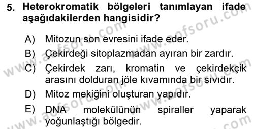 Temel Veteriner Histoloji ve Embriyoloji Dersi 2017 - 2018 Yılı (Vize) Ara Sınav Soruları 5. Soru