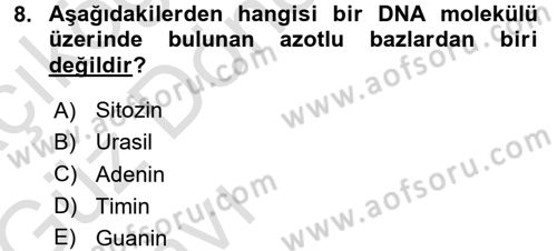 Temel Veteriner Histoloji ve Embriyoloji Dersi Ara Sınavı Deneme Sınav Soruları 8. Soru