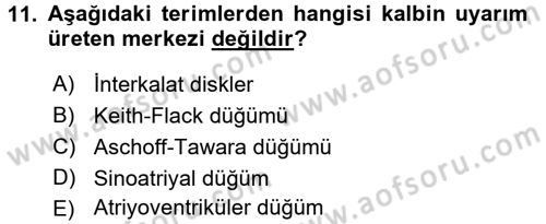 Temel Veteriner Histoloji ve Embriyoloji Dersi 2017 - 2018 Yılı (Final) Dönem Sonu Sınav Soruları 11. Soru