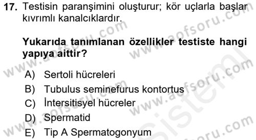Temel Veteriner Histoloji ve Embriyoloji Dersi 2017 - 2018 Yılı (Final) Dönem Sonu Sınav Soruları 17. Soru