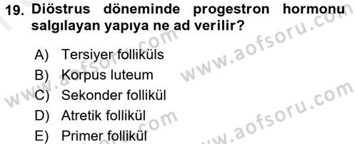 Temel Veteriner Histoloji ve Embriyoloji Dersi 2017 - 2018 Yılı (Final) Dönem Sonu Sınav Soruları 19. Soru