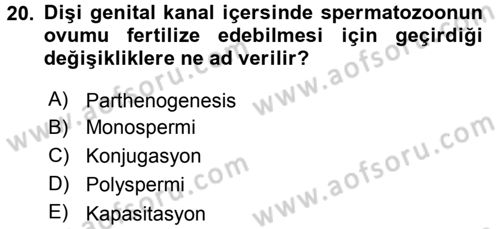 Temel Veteriner Histoloji ve Embriyoloji Dersi 2017 - 2018 Yılı (Final) Dönem Sonu Sınav Soruları 20. Soru