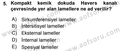 Temel Veteriner Histoloji ve Embriyoloji Dersi 2017 - 2018 Yılı (Final) Dönem Sonu Sınav Soruları 5. Soru