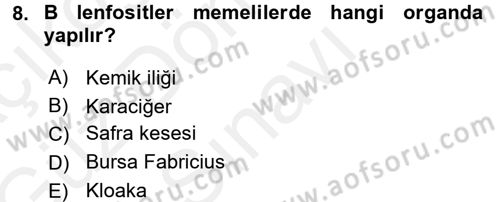 Temel Veteriner Histoloji ve Embriyoloji Dersi 2017 - 2018 Yılı (Final) Dönem Sonu Sınav Soruları 8. Soru