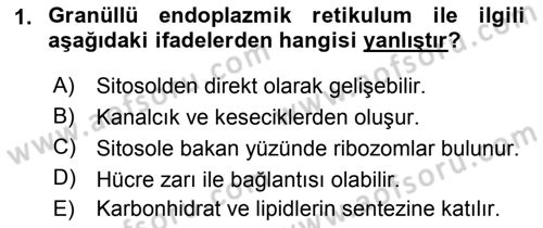 Temel Veteriner Histoloji ve Embriyoloji Dersi 2018 - 2019 Yılı 3 Ders Sınav Soruları 1. Soru