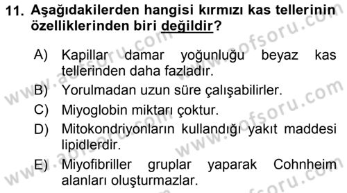 Temel Veteriner Histoloji ve Embriyoloji Dersi 2018 - 2019 Yılı 3 Ders Sınav Soruları 11. Soru