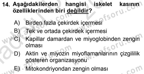 Temel Veteriner Histoloji ve Embriyoloji Dersi 2018 - 2019 Yılı 3 Ders Sınav Soruları 14. Soru