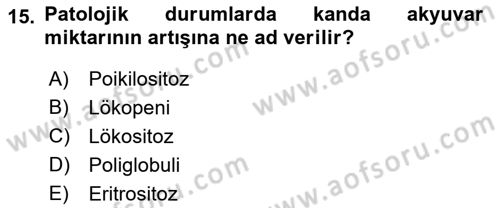 Temel Veteriner Histoloji ve Embriyoloji Dersi 2018 - 2019 Yılı 3 Ders Sınav Soruları 15. Soru