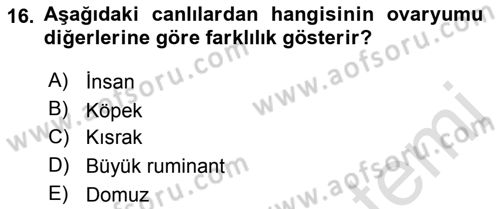 Temel Veteriner Histoloji ve Embriyoloji Dersi 2018 - 2019 Yılı 3 Ders Sınav Soruları 16. Soru