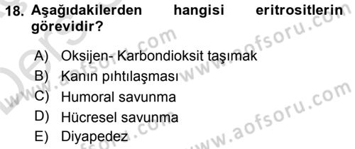 Temel Veteriner Histoloji ve Embriyoloji Dersi 2018 - 2019 Yılı 3 Ders Sınav Soruları 18. Soru