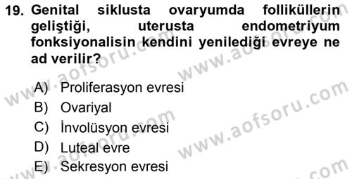 Temel Veteriner Histoloji ve Embriyoloji Dersi 2018 - 2019 Yılı 3 Ders Sınav Soruları 19. Soru