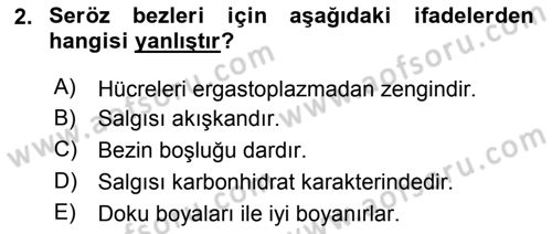 Temel Veteriner Histoloji ve Embriyoloji Dersi 2018 - 2019 Yılı 3 Ders Sınav Soruları 2. Soru