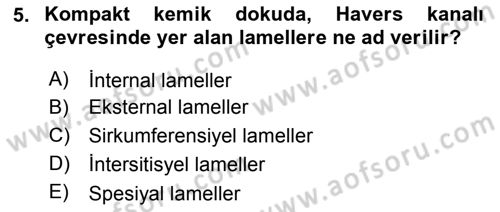 Temel Veteriner Histoloji ve Embriyoloji Dersi 2018 - 2019 Yılı 3 Ders Sınav Soruları 5. Soru