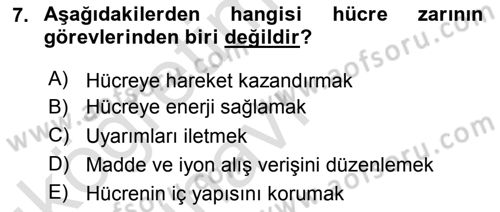 Temel Veteriner Histoloji ve Embriyoloji Dersi 2018 - 2019 Yılı 3 Ders Sınav Soruları 7. Soru