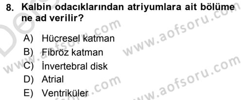 Temel Veteriner Histoloji ve Embriyoloji Dersi 2018 - 2019 Yılı 3 Ders Sınav Soruları 8. Soru
