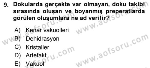 Temel Veteriner Histoloji ve Embriyoloji Dersi 2018 - 2019 Yılı 3 Ders Sınav Soruları 9. Soru