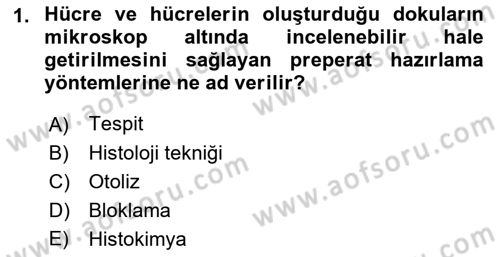 Temel Veteriner Histoloji ve Embriyoloji Dersi 2018 - 2019 Yılı (Vize) Ara Sınav Soruları 1. Soru