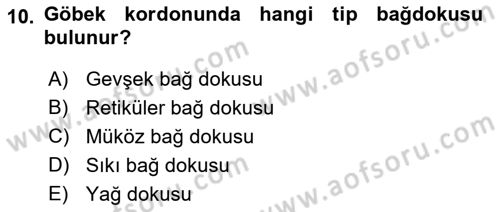 Temel Veteriner Histoloji ve Embriyoloji Dersi Ara Sınavı Deneme Sınav Soruları 10. Soru