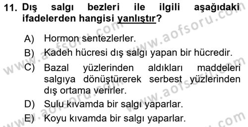 Temel Veteriner Histoloji ve Embriyoloji Dersi Ara Sınavı Deneme Sınav Soruları 11. Soru