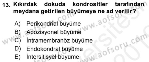 Temel Veteriner Histoloji ve Embriyoloji Dersi 2018 - 2019 Yılı (Vize) Ara Sınav Soruları 13. Soru