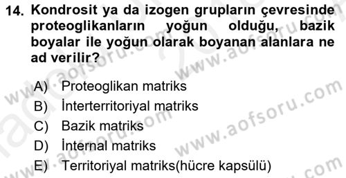 Temel Veteriner Histoloji ve Embriyoloji Dersi Ara Sınavı Deneme Sınav Soruları 14. Soru