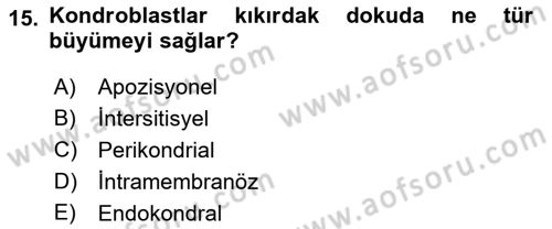 Temel Veteriner Histoloji ve Embriyoloji Dersi Ara Sınavı Deneme Sınav Soruları 15. Soru