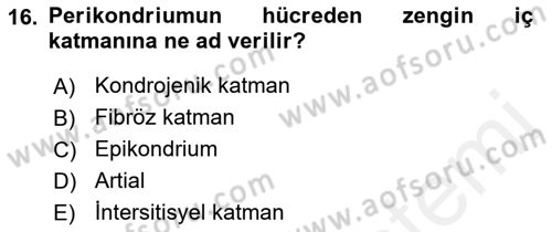 Temel Veteriner Histoloji ve Embriyoloji Dersi 2018 - 2019 Yılı (Vize) Ara Sınav Soruları 16. Soru