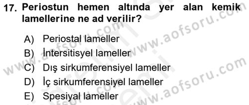 Temel Veteriner Histoloji ve Embriyoloji Dersi 2018 - 2019 Yılı (Vize) Ara Sınav Soruları 17. Soru