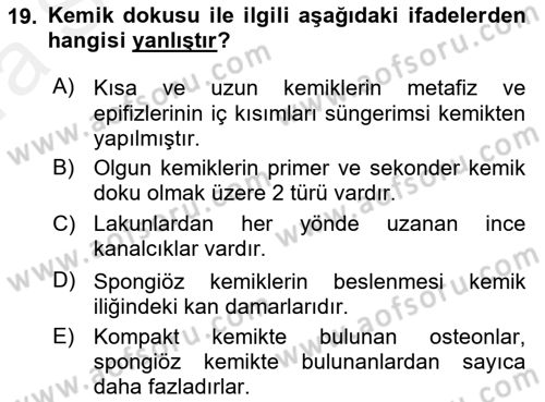 Temel Veteriner Histoloji ve Embriyoloji Dersi 2018 - 2019 Yılı (Vize) Ara Sınav Soruları 19. Soru